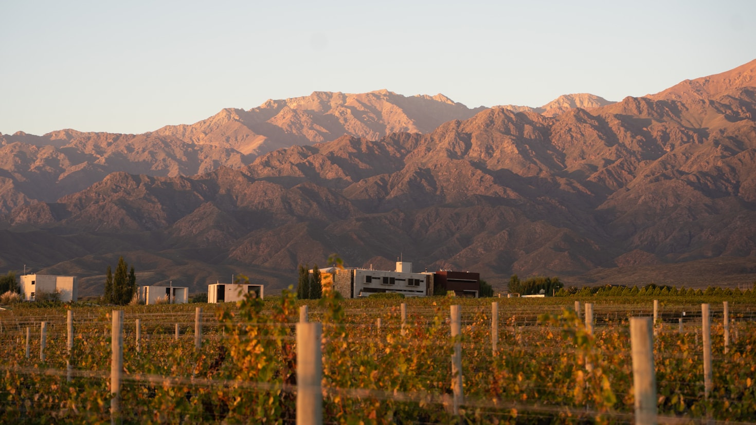 Top Speakeasy Experiences in Tijuana You Can’t Miss