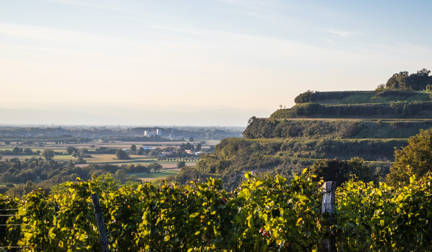 Behind the Scenes of Tijuana’s Cultural Revival