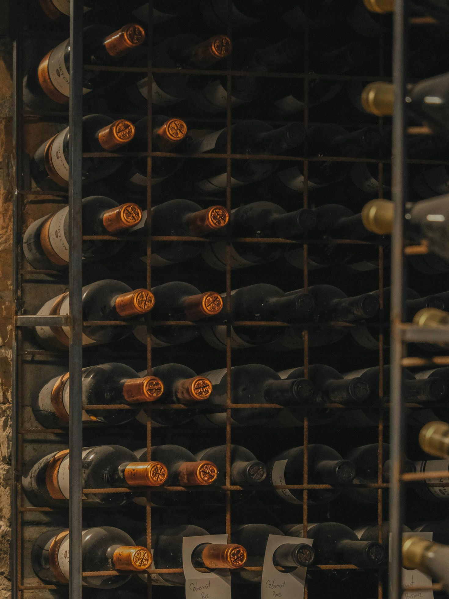 Five Reasons to Explore Baja California with Signature Tours by JC